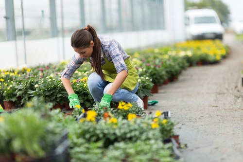Visual for keyboard-friendly navigation on a local gardening website