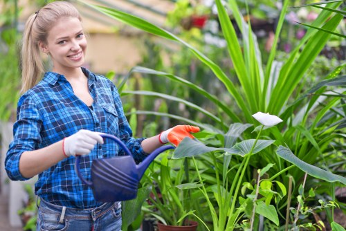 Illustration representing marketing cookies for Gardeners Barnes Cray