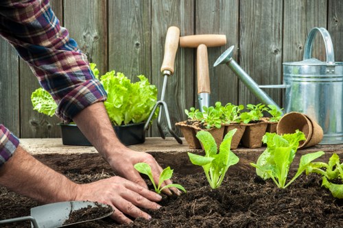 Professional garden maintenance in Barnes Cray including lawn care and border tidying