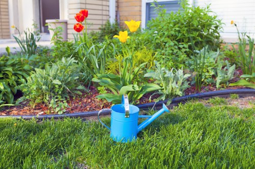 Professional gardening services in Barnes Cray for tidy lawns and garden maintenance
