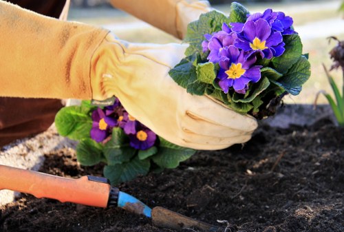 Weed control and patio cleaning during garden maintenance in Barnes Cray