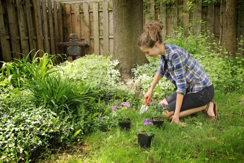 Seasonal garden maintenance service in Barnes Cray with lawn and plant care
