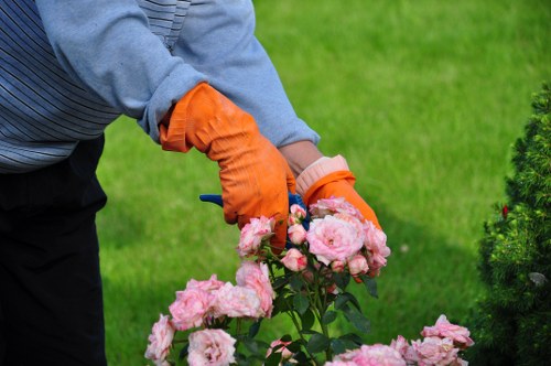 Seasonal hedge cutting in Barnes Cray for healthy hedge growth