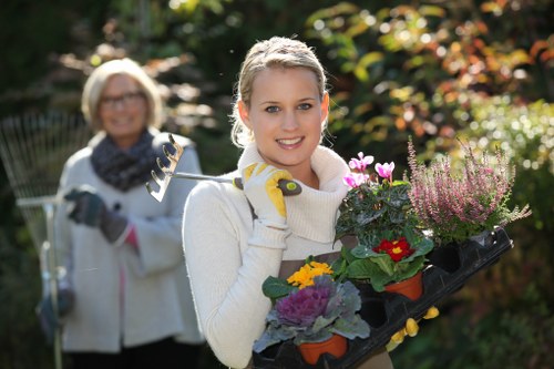 A neatly shaped hedge being trimmed in Barnes Cray garden care