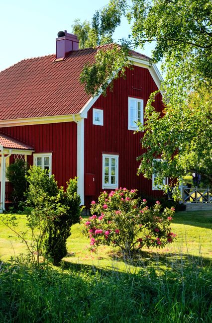 A red wooden house with white-framed windows and a red-tiled sloped roof, set amidst a lush garden with various plants and trees. In the foreground, there are bushes and flowering shrubs, including a 