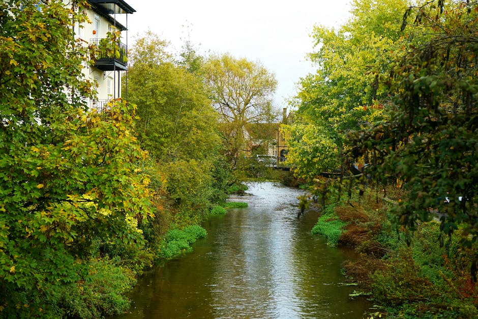 A tranquil riverside garden scene featuring a narrow, flowing creek with clear, gently rippling water. On the left side, tall, grassy plants with long, slender, green leaves grow along the bank, inter